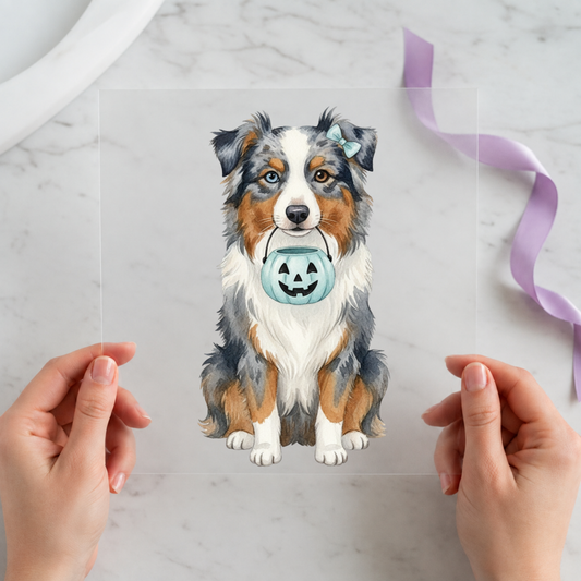 Australian Shepherd Halloween individual product photo included in the Halloween Pet Volume 2 five-pack DTF transfer bundle