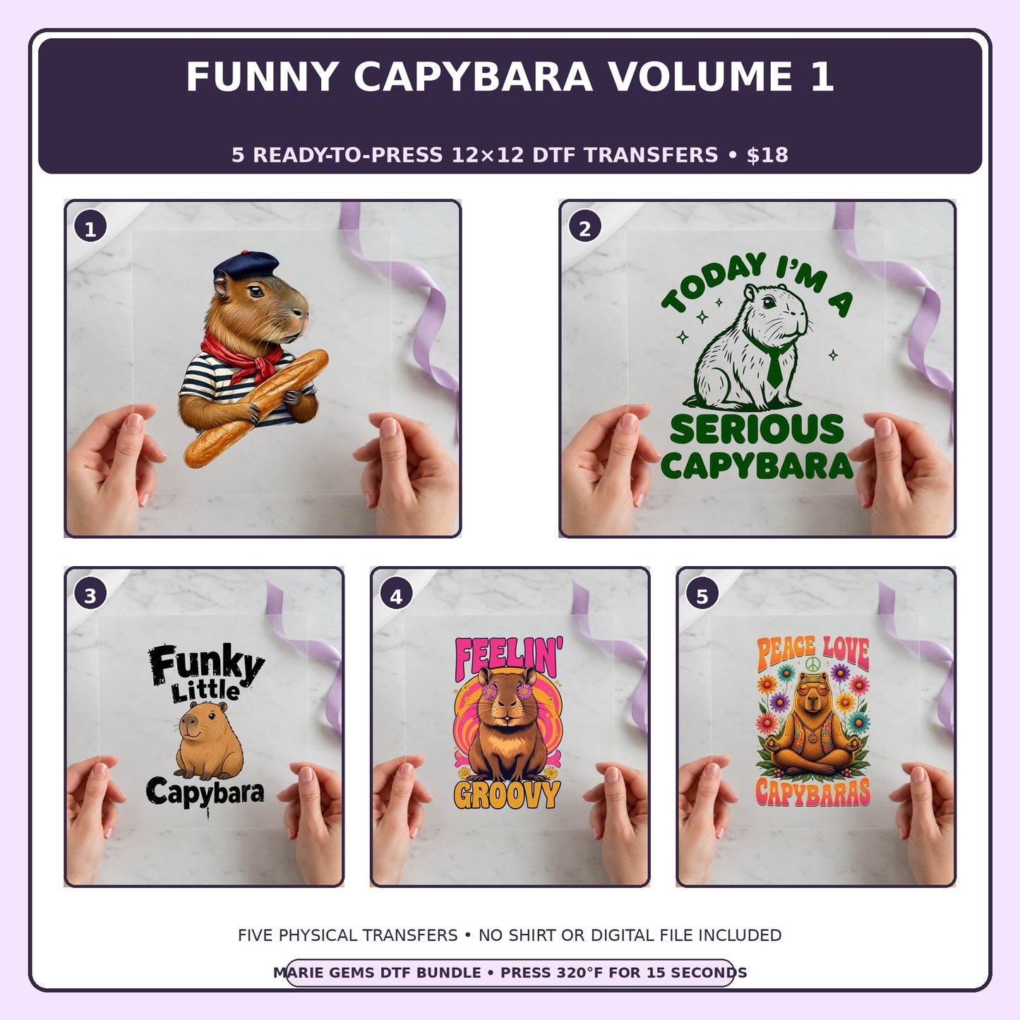 Funny Capybara Volume 1 five-pack 12x12 ready-to-press DTF transfer bundle collage showing all five included designs