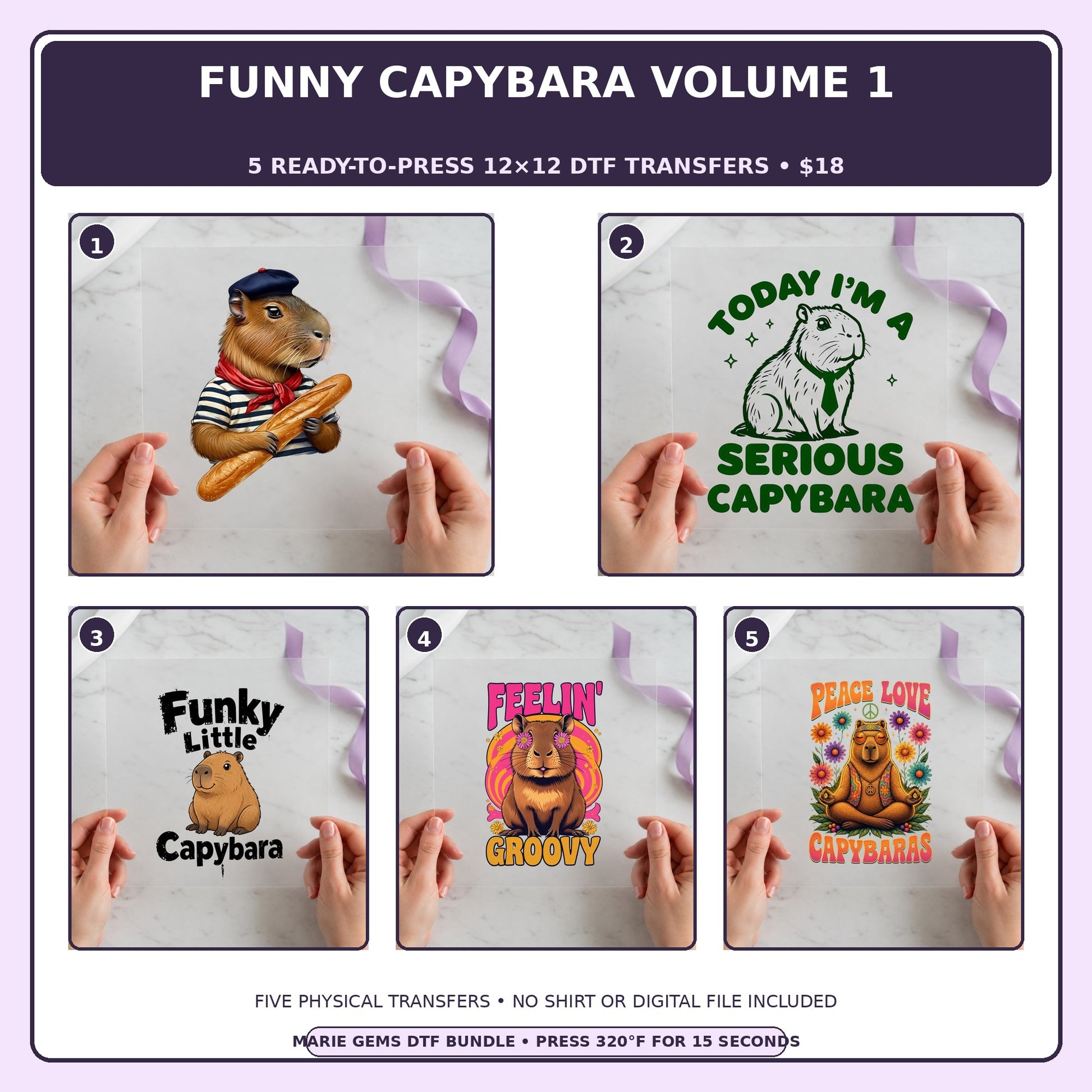 Funny Capybara Volume 1 five-pack 12x12 ready-to-press DTF transfer bundle collage showing all five included designs