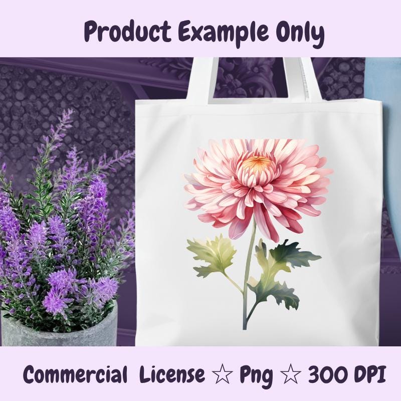 November Birth Flower PNG | Chrysanthemum Clipart | Fall Floral PNG for Sublimation, Stickers, Cards | 300 DPI Transparent Download