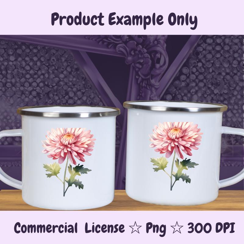 November Birth Flower PNG | Chrysanthemum Clipart | Fall Floral PNG for Sublimation, Stickers, Cards | 300 DPI Transparent Download