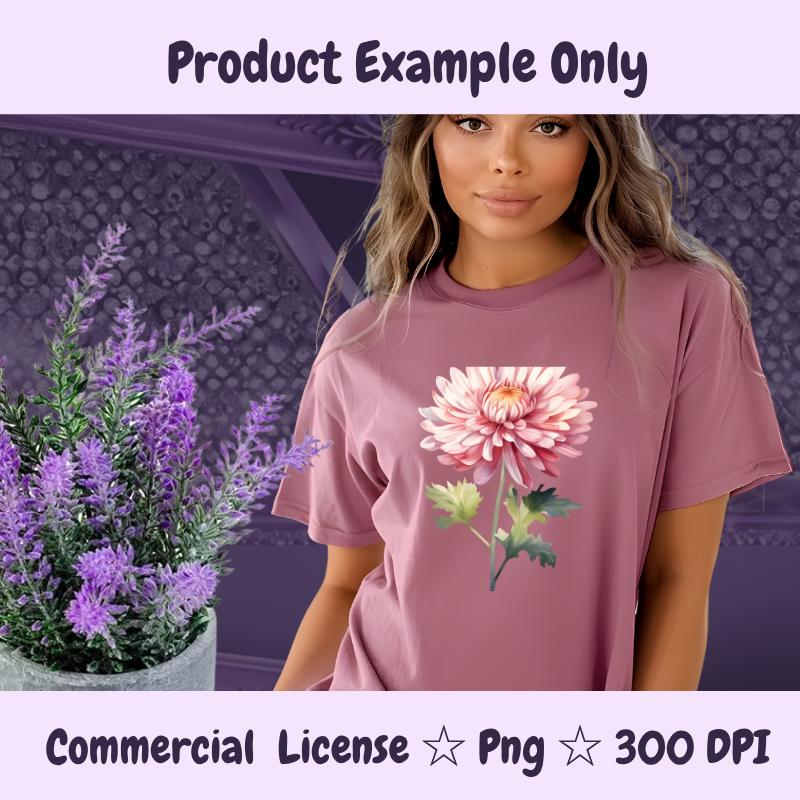 November Birth Flower PNG | Chrysanthemum Clipart | Fall Floral PNG for Sublimation, Stickers, Cards | 300 DPI Transparent Download