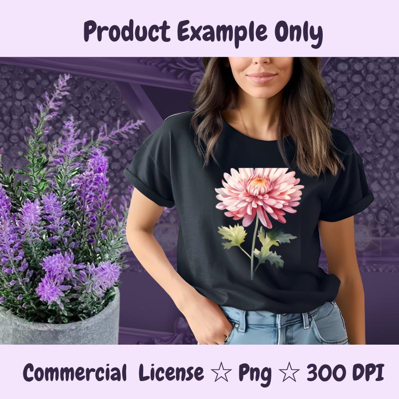 November Birth Flower PNG | Chrysanthemum Clipart | Fall Floral PNG for Sublimation, Stickers, Cards | 300 DPI Transparent Download