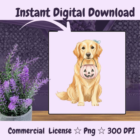 Golden Retriever Halloween PNG, Cute Dog Clipart with Pumpkin, Fall Dog Sublimation, Trick or Treat Digital Download