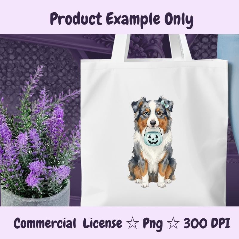 Australian Shepherd Halloween PNG, Blue Merle Dog Clipart with Pumpkin, Fall Dog Mom Sublimation Design, Digital Download