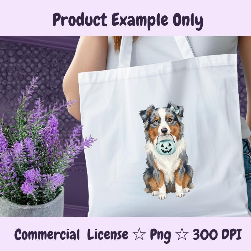 Australian Shepherd Halloween PNG, Blue Merle Dog Clipart with Pumpkin, Fall Dog Mom Sublimation Design, Digital Download