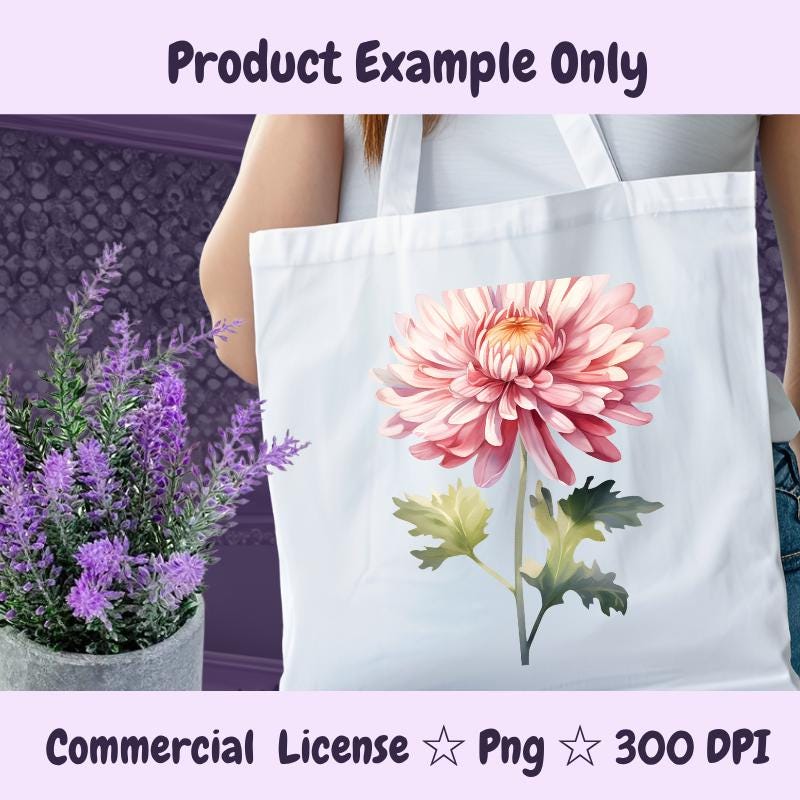 November Birth Flower PNG | Chrysanthemum Clipart | Fall Floral PNG for Sublimation, Stickers, Cards | 300 DPI Transparent Download