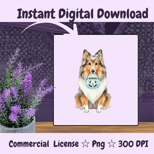 Shetland Sheepdog Halloween PNG, Sheltie Dog Clipart with Pumpkin, Fall Dog Sublimation Design, Digital Download
