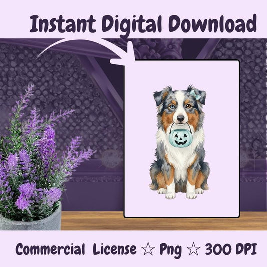 Australian Shepherd Halloween PNG, Blue Merle Dog Clipart with Pumpkin, Fall Dog Mom Sublimation Design, Digital Download