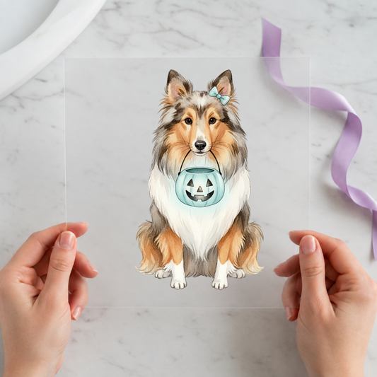 Sheltie Halloween Dog individual product photo included in the Halloween Pet Volume 1 five-pack DTF transfer bundle