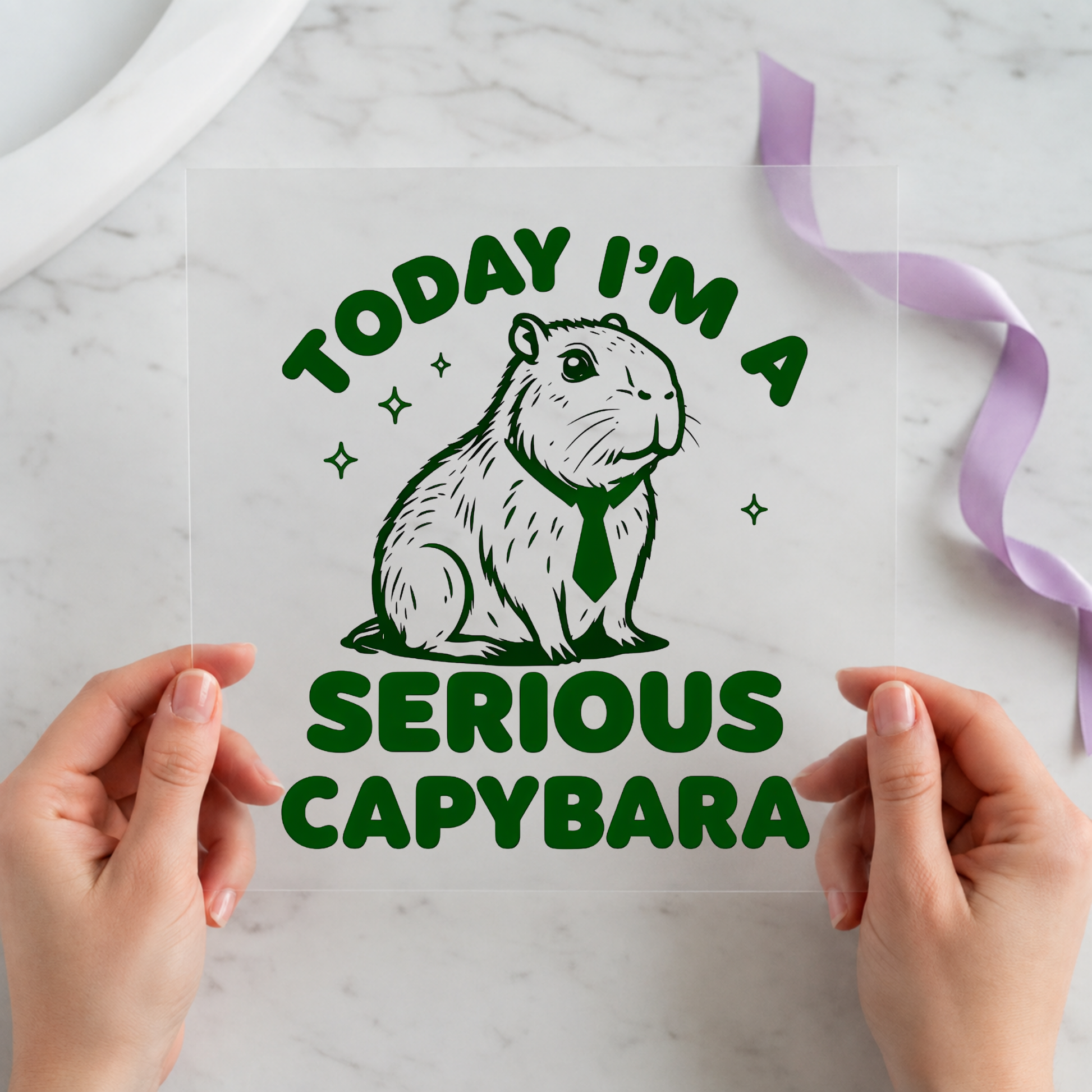 Today I'm a Serious Current individual product photo included in the Funny Capybara Volume 1 five-pack DTF transfer bundle